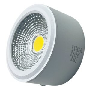 Down Light