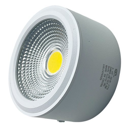 LED Down Light COB9050- WH WW Series