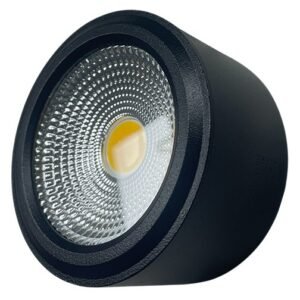 Down Light