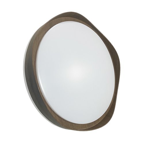 LED Ceiling light 24WM1395 Series