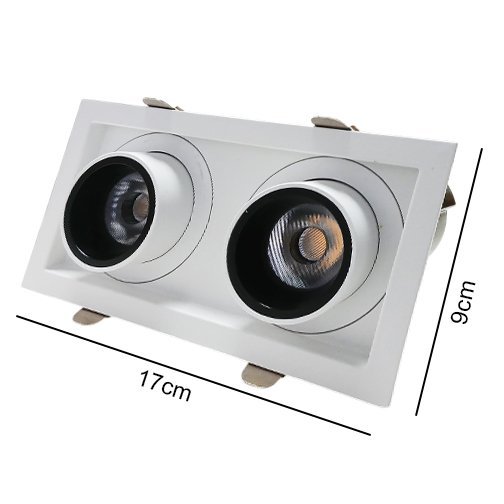Down Light COB2525 2x10W WH+BK Series