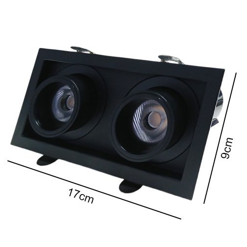 Down Light COB2525 2x10W BK Series